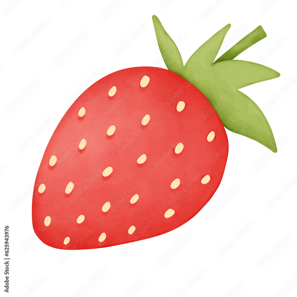 illustration of a strawberry watercolor illustration of a strawberry watercolor