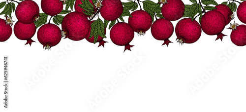 Pomegranate banner. Pomegranate plant branch with fruits. Vintage Pomegranates border. Hand drawn ink style fruit background. Pomegranate tree, ripe fruit. Rosh hashanah print.Textile, fabric texture