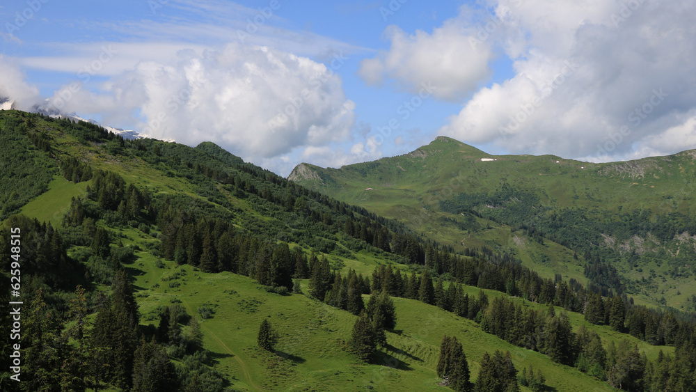 Green mountain meadows and forest in Gsteig bei Gstaad. Arnehore.