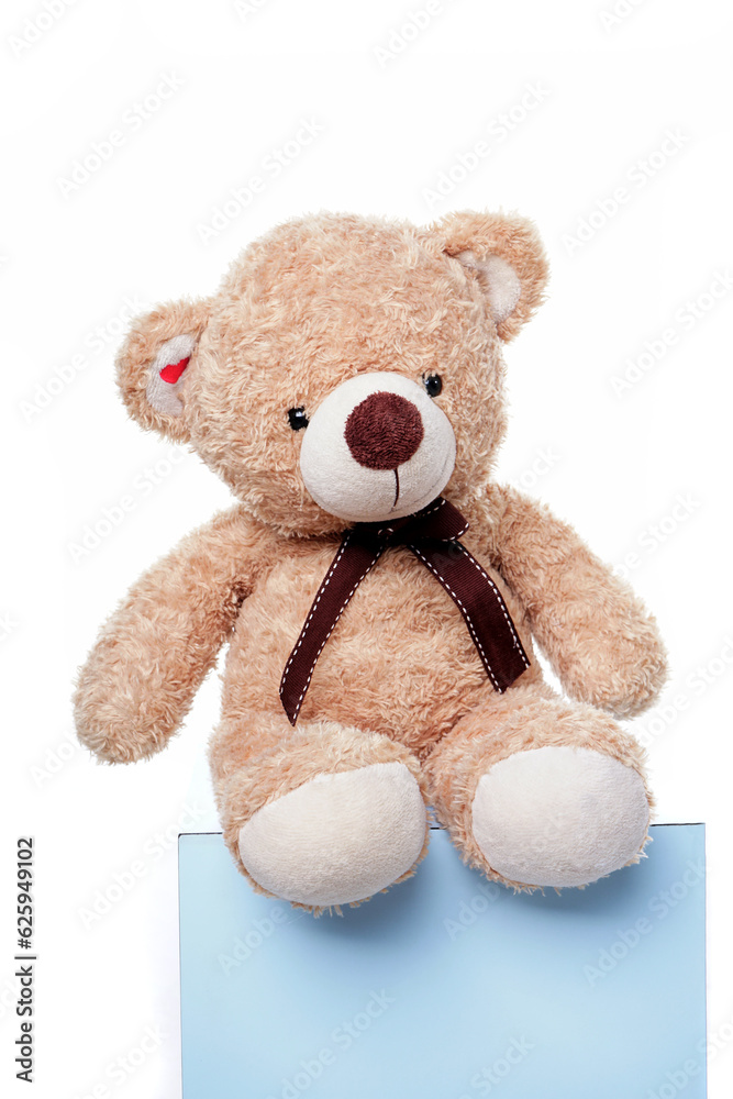 Obraz premium teddy bear and a gift with clear background