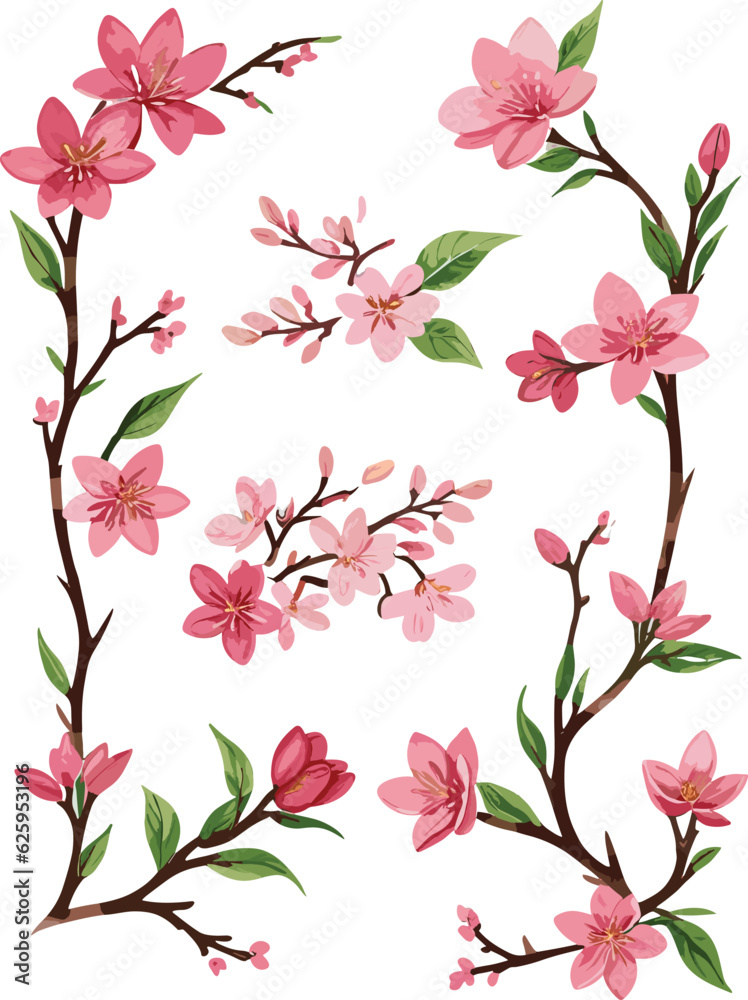 Watercolor illustration of cherry blossoms , A set of components (vector)