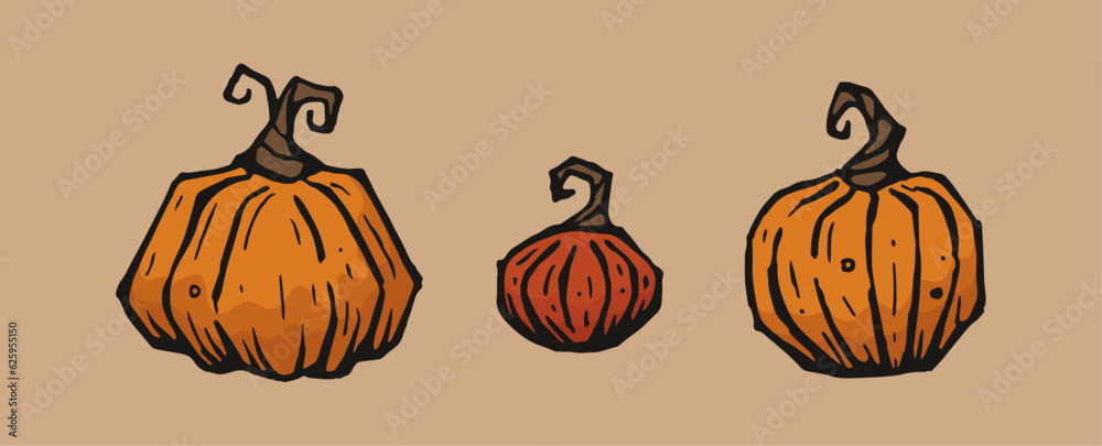 Pumpkins. Hand drawn style vector.