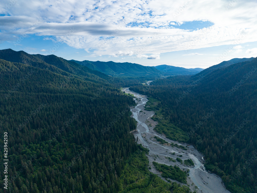 Fototapeta premium Located on the Olympic Peninsula, the beautiful Hoh river flows through one of the largest temperate rainforests in the U.S. Receiving over 100 inches of rain, the region is lush with flora and fauna.