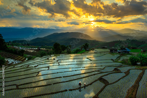 Beautiful terrace rice fields in Mae chaem, Chiang Mai, Thailand, background photo