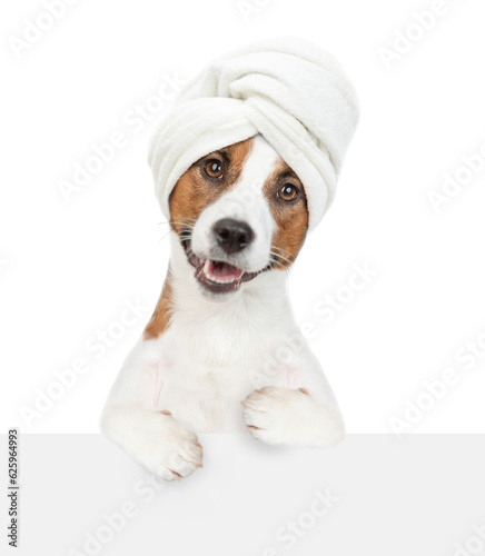 Funny jack russell terrier puppy with towel on it head holdslooks above empty white banner. isolated on white background © Ermolaev Alexandr