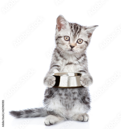 Cute kitten holds empty bowl. isolated on white background