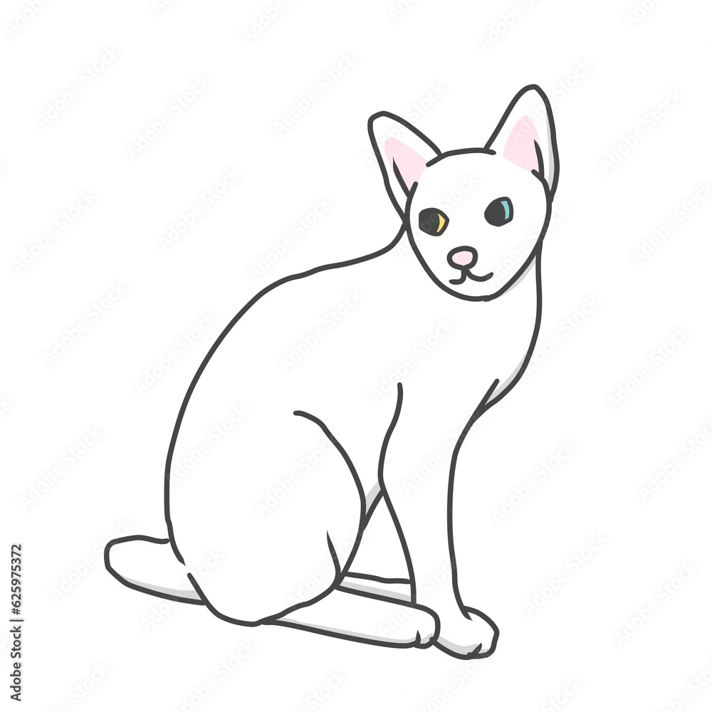 white cat looking