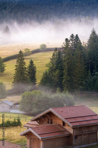 Chalet de montagne au pieds des prairies et de la forêt des Vosges - Grand Valtin