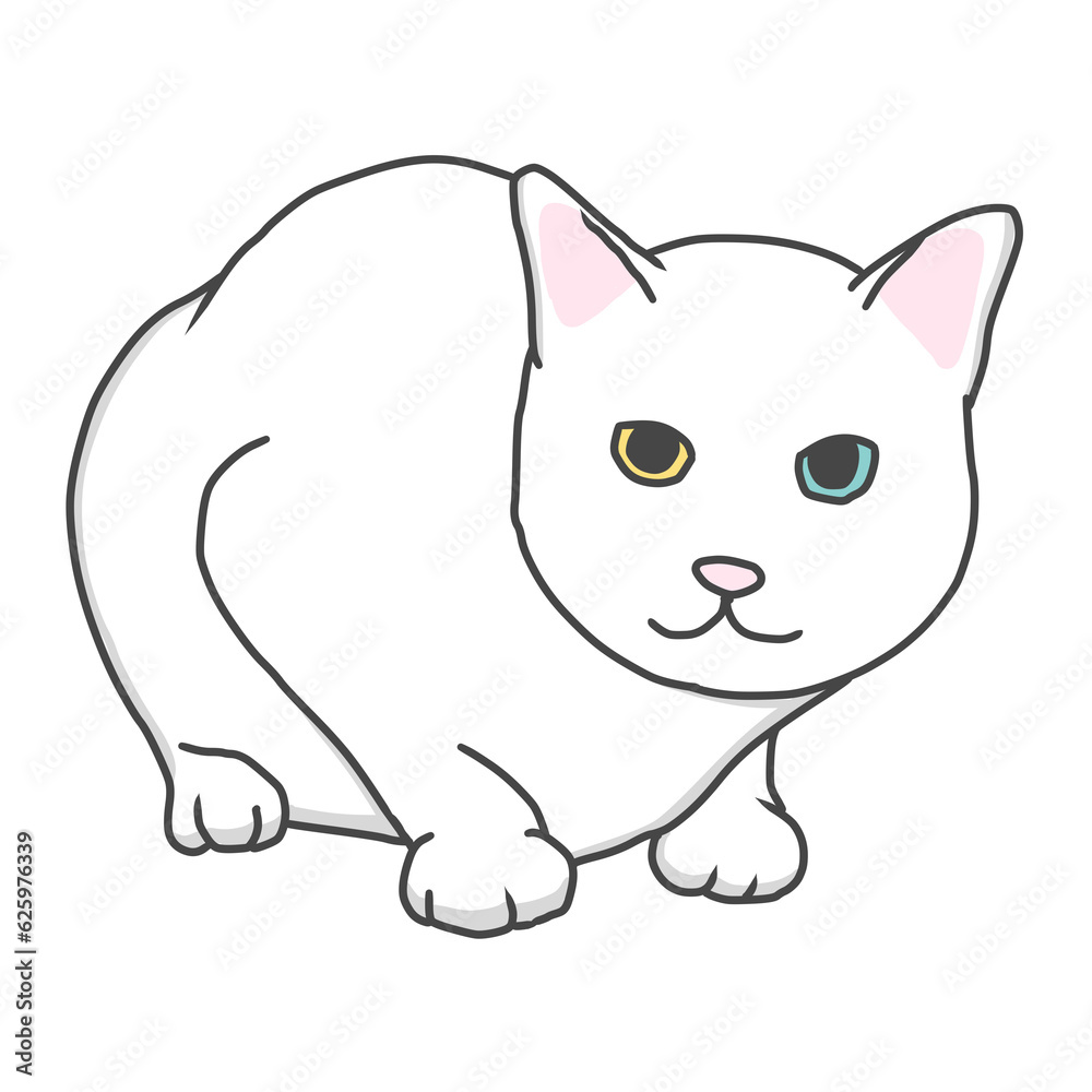 illustrate white cat looking cartoon 