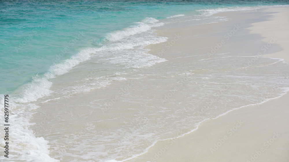 Summer Beach: White Sandy Shore and Foamy Waves Summer Beach: White Sandy Shore and Foamy Waves