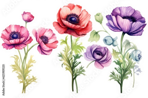  set of Watercolor Anemones leaf  watercolor Illustration isolated on white background for wedding card  cover  invitations.  