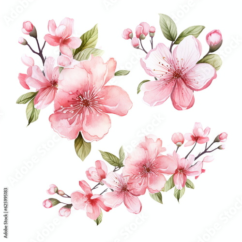 Flowers to decorate a wedding card  sakura and peach  light pink watercolor style  individual arrangements  AI generated