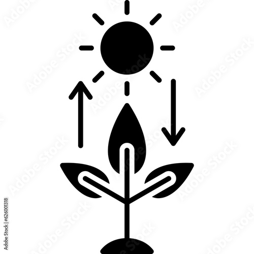 Photosynthesis Icon