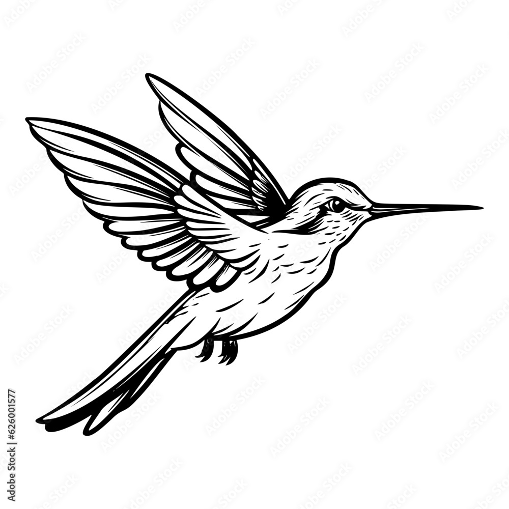 Fototapeta premium Hummingbird’s silhouette, Hummingbirds mascot logo, Hummingbirds Black and White Animal Symbol Design, Bird icon.