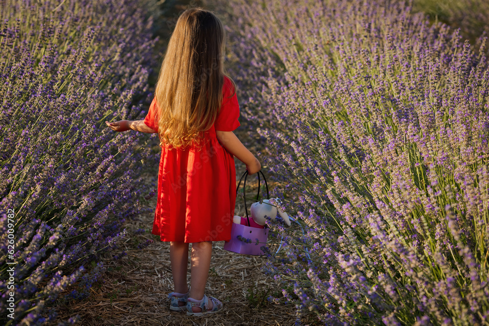 A 4 5 Year Old Girl In A Red Dress Walks Through A Lavender Field In a-4-5-year-old-girl-in-a-red-dress-walks-through-a-lavender-field-in