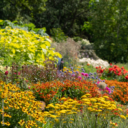 Stunning, colourful mixed flower borders at RHS Wisley Garden, Surrey UK. The extensive flower beds have mainly perennial plants growing in them.
