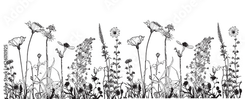 Wildflowers seamless border sketch hand drawn in doodle style illustration