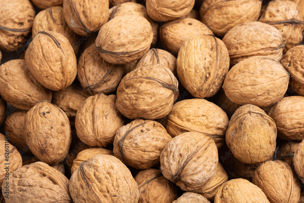 Walnut background. Pile of nuts filling the frame. Walnut background. Pile of nuts filling the frame.