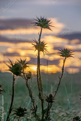 Beautiful landscapes and portraits at sunrise