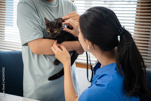 Professional vet doctor helps cat. owner cat holding pet on hands. Cat on examination table of veterinarian clinic. Veterinary care. Vet doctor and cat