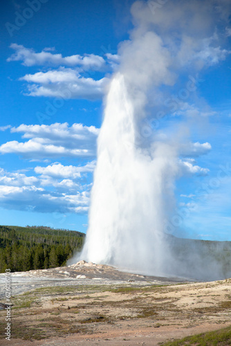 the old faithful geyser erupting in Yellowstone National Park