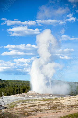 the old faithful geyser erupting in Yellowstone National Park