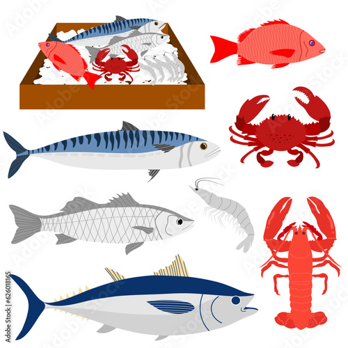 set of fresh seafood vector illustration. seafood collection