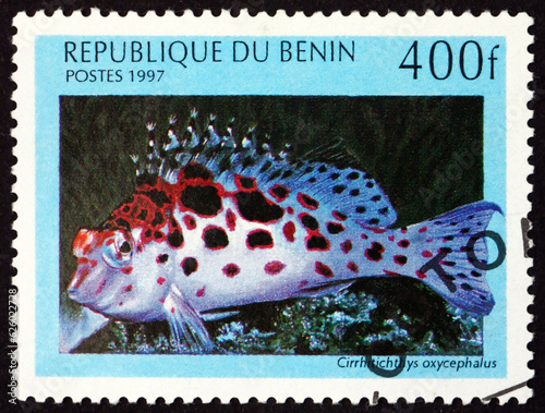 Postage stamp Benin, Dahomey 1997 coral hawkfish, cirrhitichthys oxycephalus, is a species of marine ray-finned fish native to tropical reefs photo