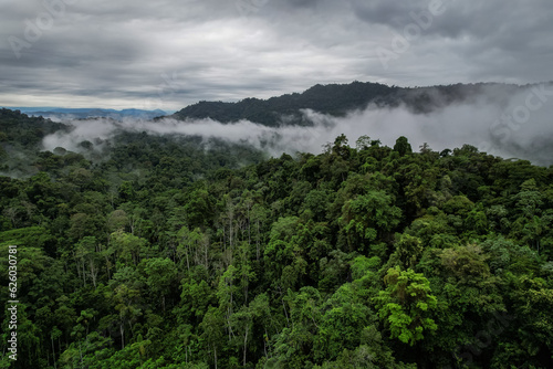 Beautiful aerial view of the Costa Rica Rainforest in the Talamanca Region