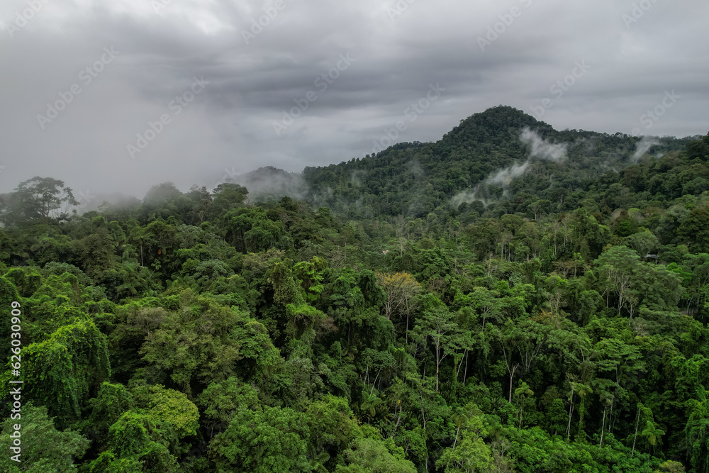 Obraz premium Beautiful aerial view of the Costa Rica Rainforest in the Talamanca Region