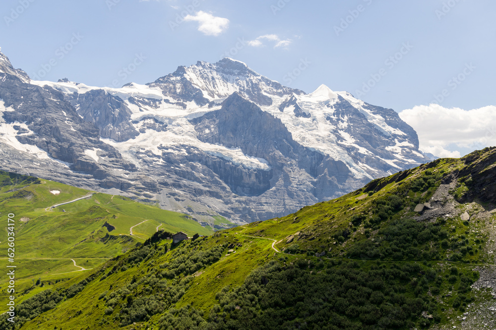 Fototapeta premium A hiking trail leads past grassy fields with snow covered mountains of the Swiss Alps in the background