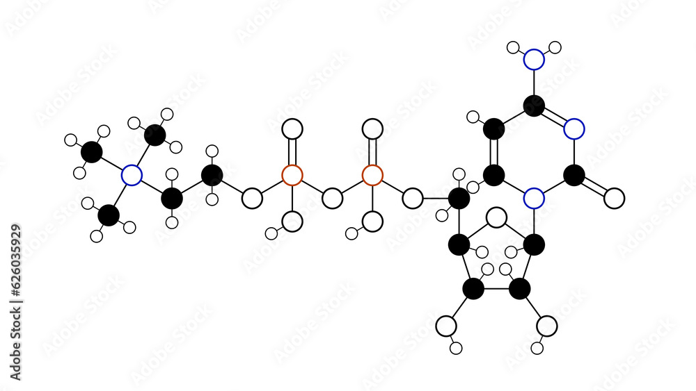 citicoline molecule, structural chemical formula, ball-and-stick model, isolated image cytidine diphosphate-choline citicoline molecule, structural chemical formula, ball-and-stick model, isolated image cytidine diphosphate-choline