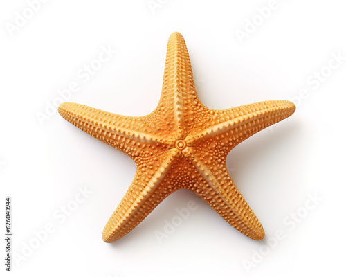 starfish isolated on white