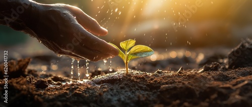 Enviroment Shot. a Watering Can watering a little Plant.