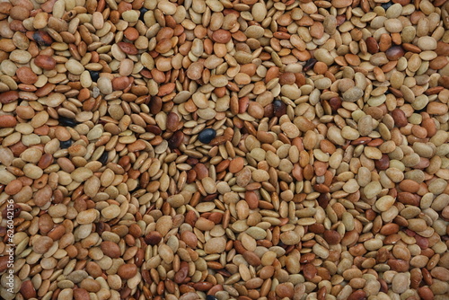 horse gram seeds pulses food ,towp down view