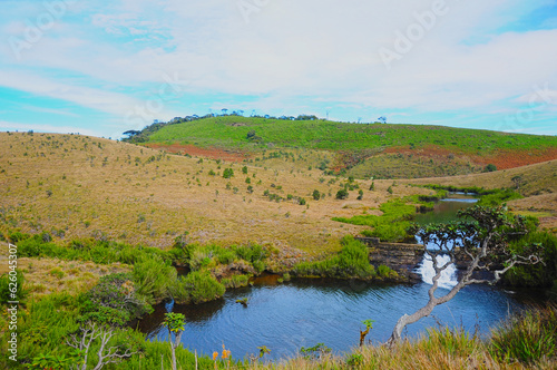 Horton plains national park Sri Lanka.