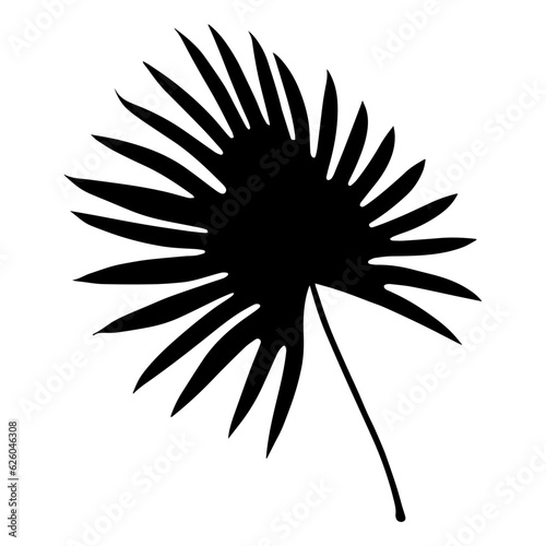 Tropical palm leaf silhouette. Vector illustration