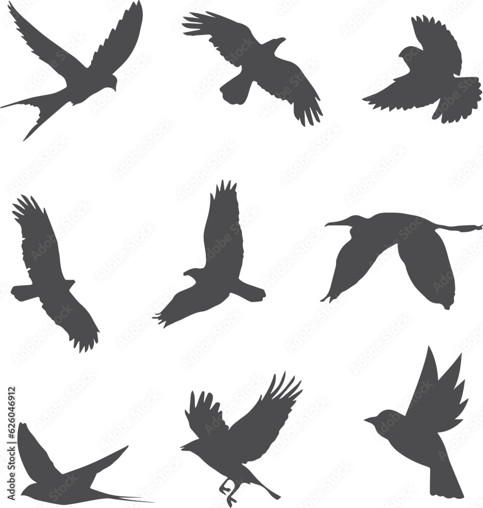 Obraz premium set of birds vector art element design, bird, vector, silhouette, animal, illustration, flying, nature, icon, pattern, set, fish, birds, art, design, symbol, sea, dove, seamless, shark, swallow, wing