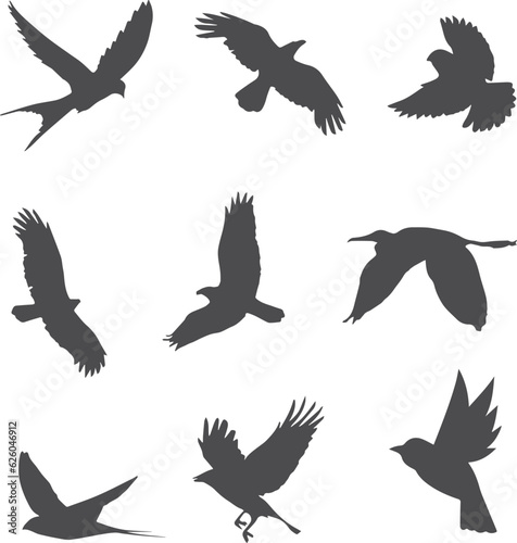 set of birds vector art element design, bird, vector, silhouette, animal, illustration, flying, nature, icon, pattern, set, fish, birds, art, design, symbol, sea, dove, seamless, shark, swallow, wing