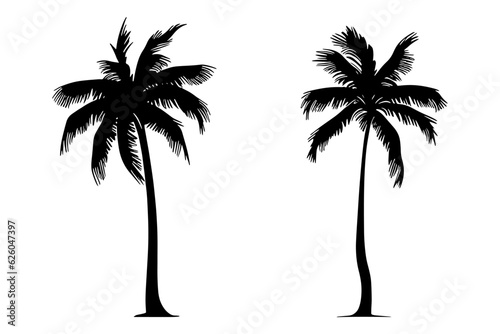 Set of two Palm tree silhouette. Vector illustration