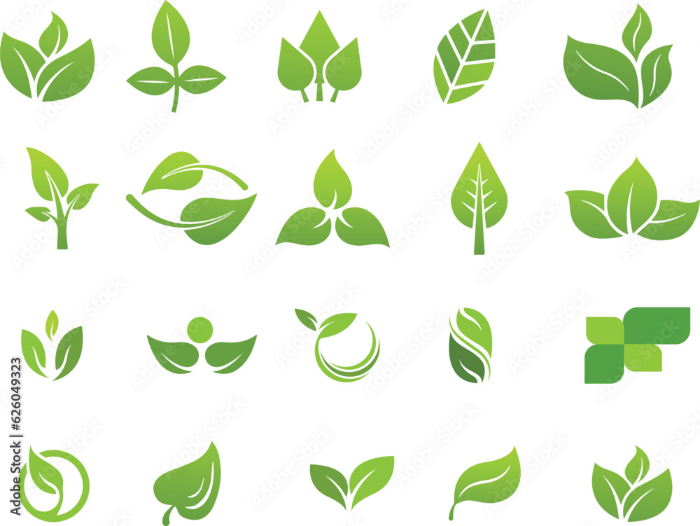 set of green leaf vector icon elements, leaf, nature, tree, plant, icon, green, vector, set, spring, eco, design, illustration, ecology, environment, leaves, symbol, natural, floral, summer, branch set of green leaf vector icon elements, leaf, nature, tree, plant, icon, green, vector, set, spring, eco, design, illustration, ecology, environment, leaves, symbol, natural, floral, summer, branch