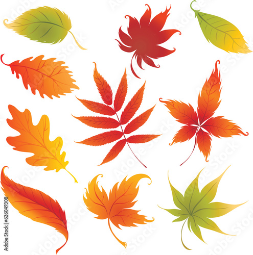 set of autumn leaves vector icon, leaf, autumn, leaves, maple, nature, fall, vector, tree, season, plant, set, illustration, pattern, yellow, orange, design, seamless, oak, foliage, art, color, red