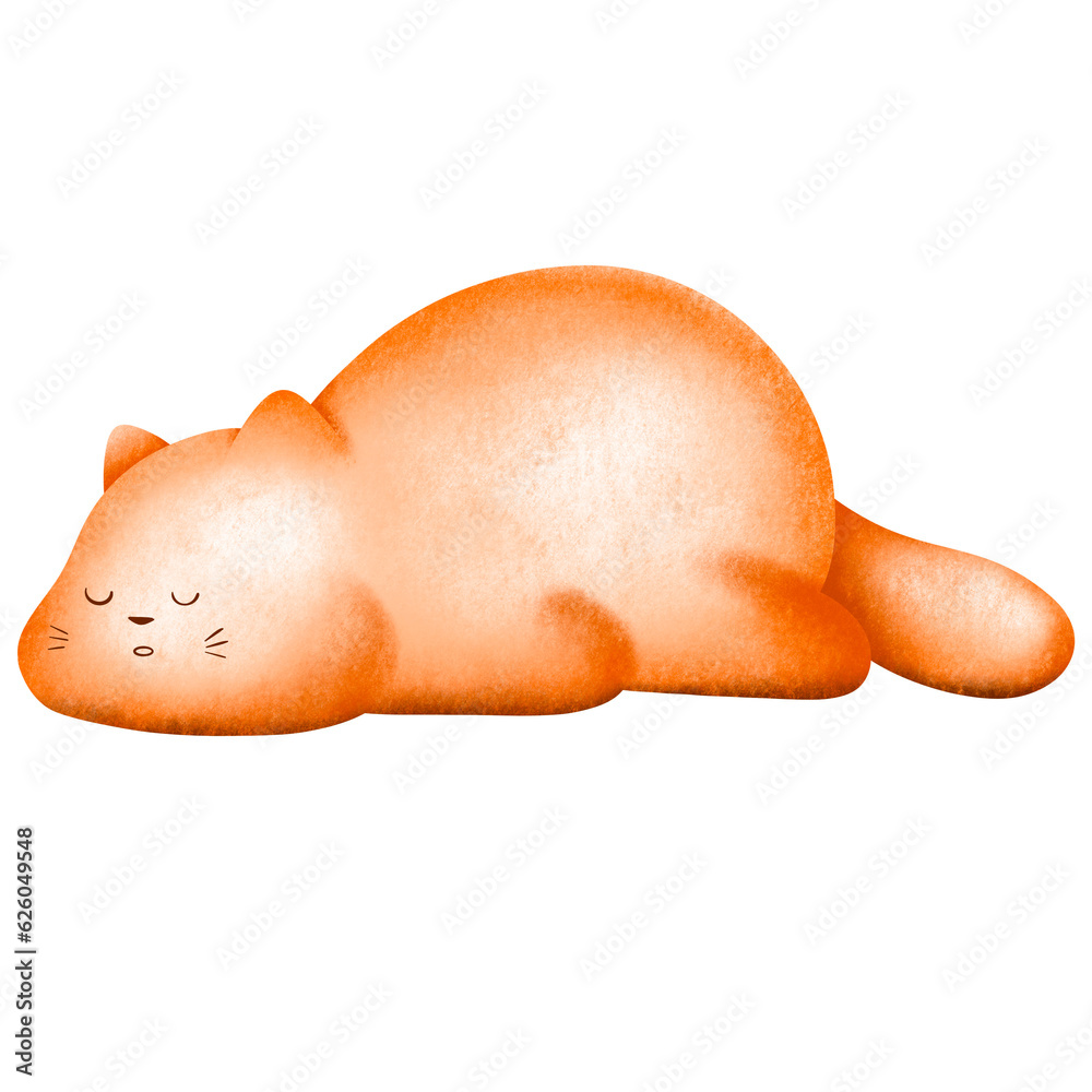 Cat Cat