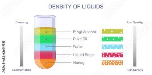 The Density of Liquids vector illustration. Creaming and sedimentation. Liquid and solution has own characteristic density. General physics for students and teachers. Physics study material images.