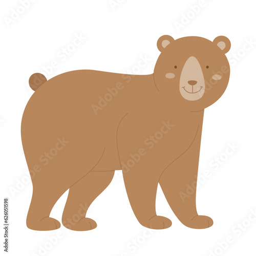 Cute forest bear. Grizzly animal  fluffy teddy bear  forest wildlife fauna vector illustration