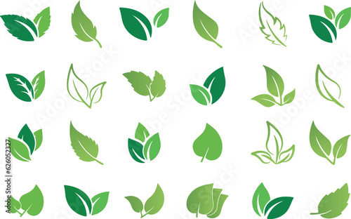 set of green leaf vector icon element, leaf, nature, plant, vector, green, icon, tree, design, illustration, eco, set, pattern, spring, ecology, floral, natural, symbol, branch, leaves, summer, eco
