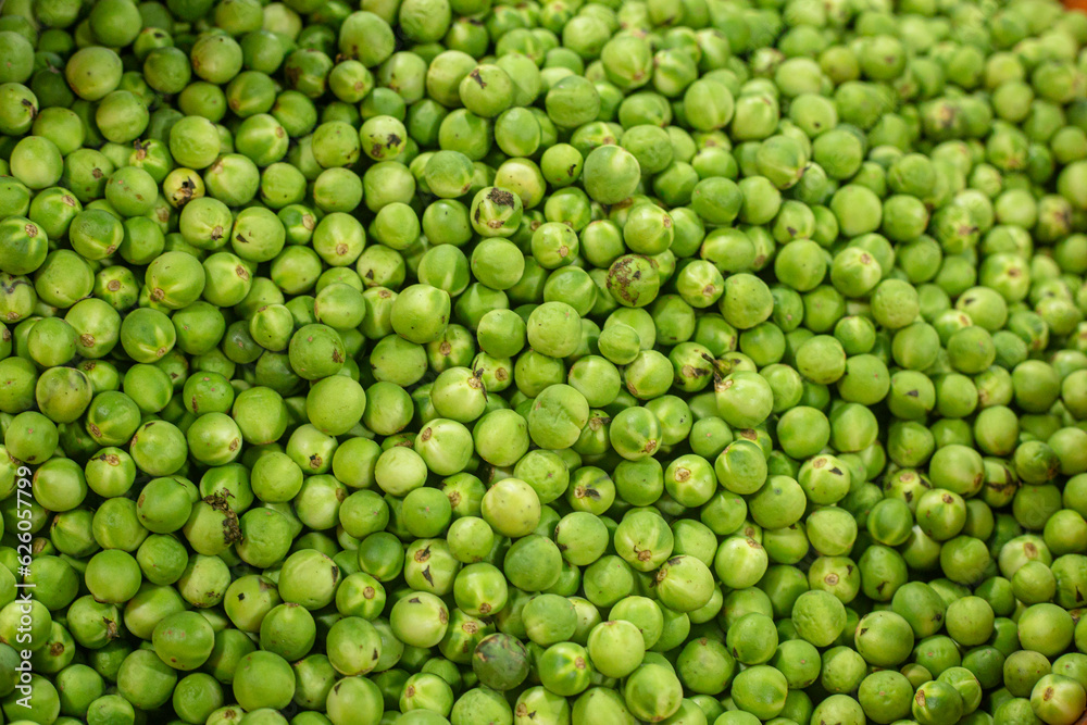 Turkey berry Turkey berry