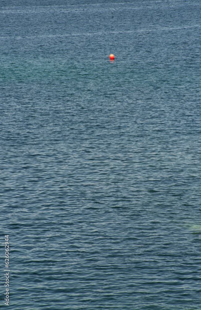 Red buoy among the waves of the blue sea