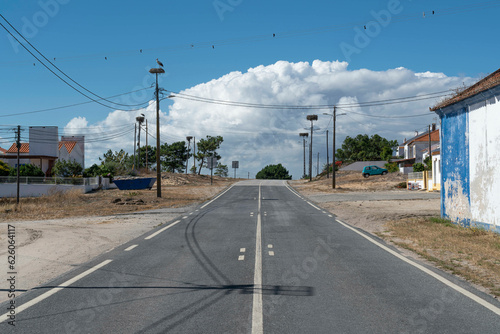Storks nesting in lamp posts or telegraph poles in the street in Comporta, Alcácer, Setúbal, Portugal.