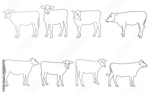 cow out line vector illustration